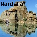 PaulFordNardella